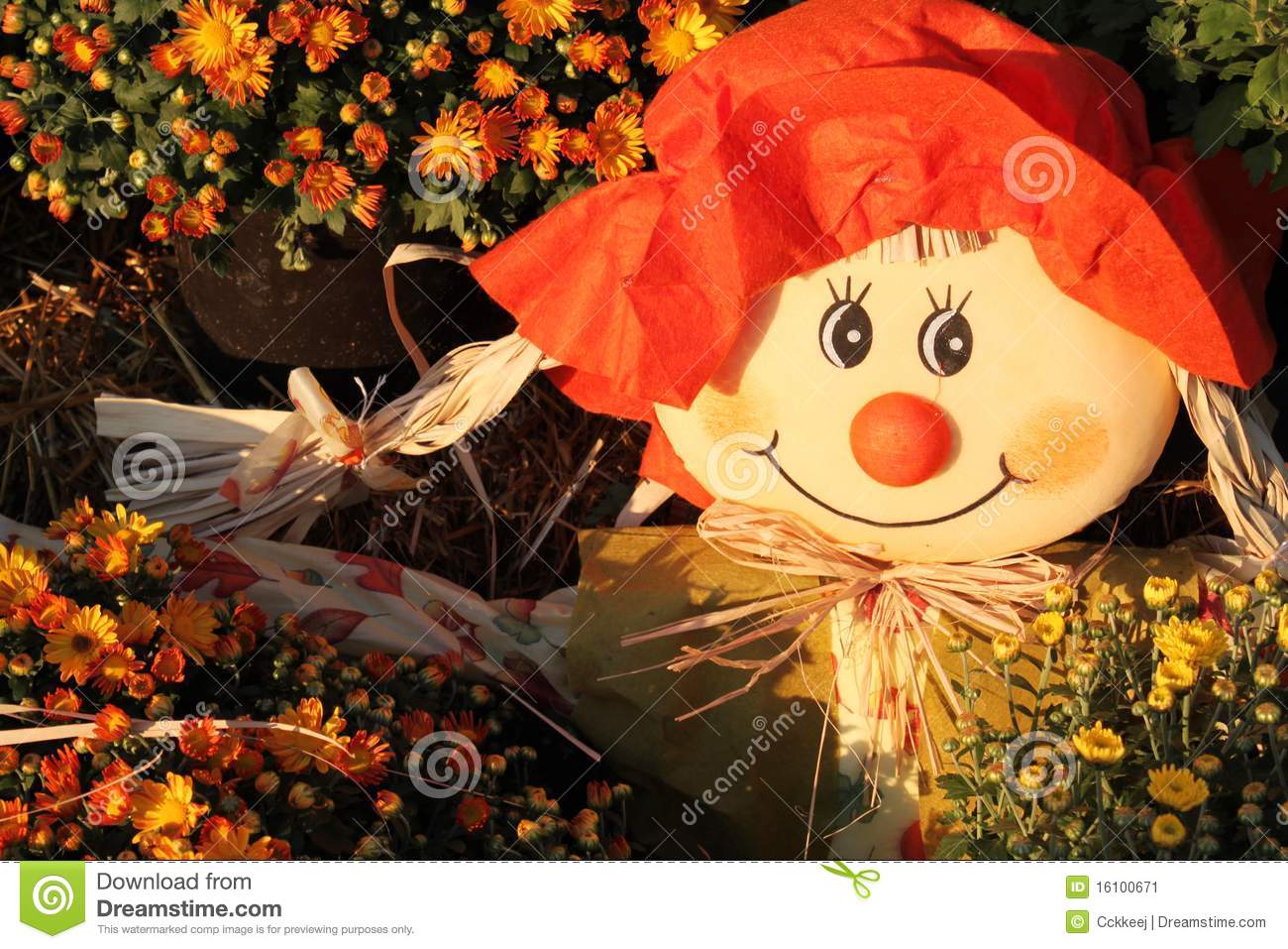 Pumpkin Patch in Egg Harbor Connie Erickson Real Estate